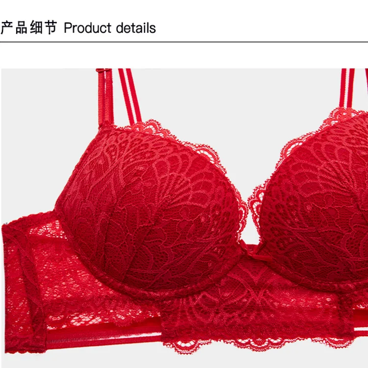 Women's Bra Panty Set Lace Embroidery Ladies Sexy Underwear Set