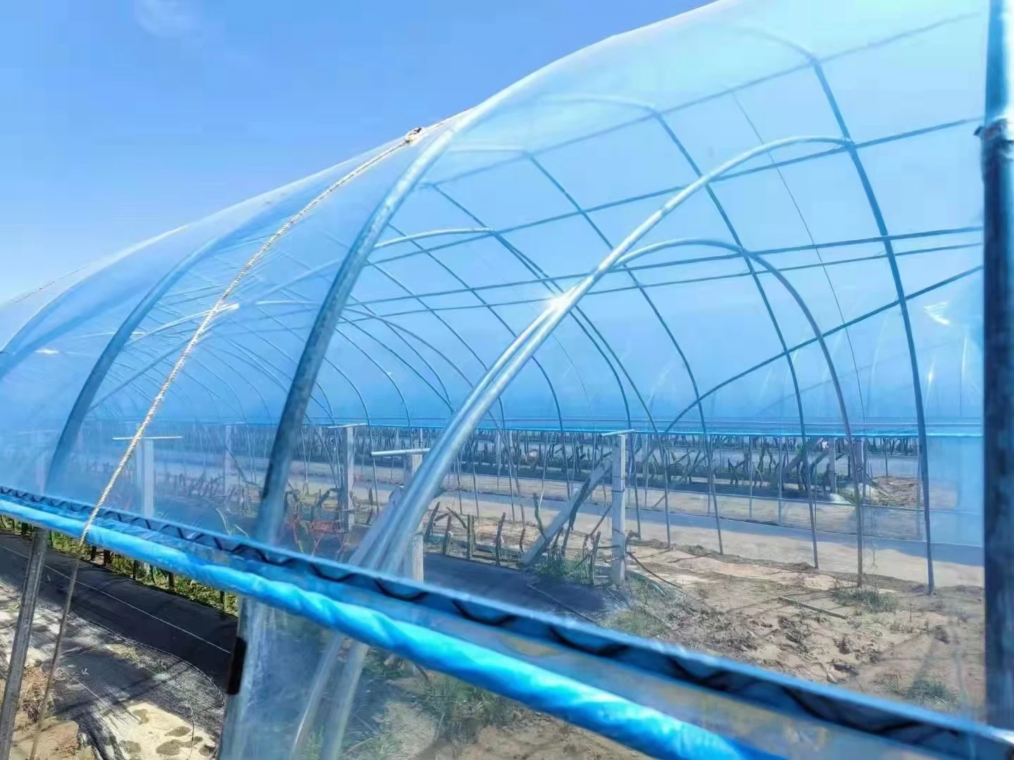 High Tensile Strength Woven Uv Polythene Greenhouse Films 200 Micron