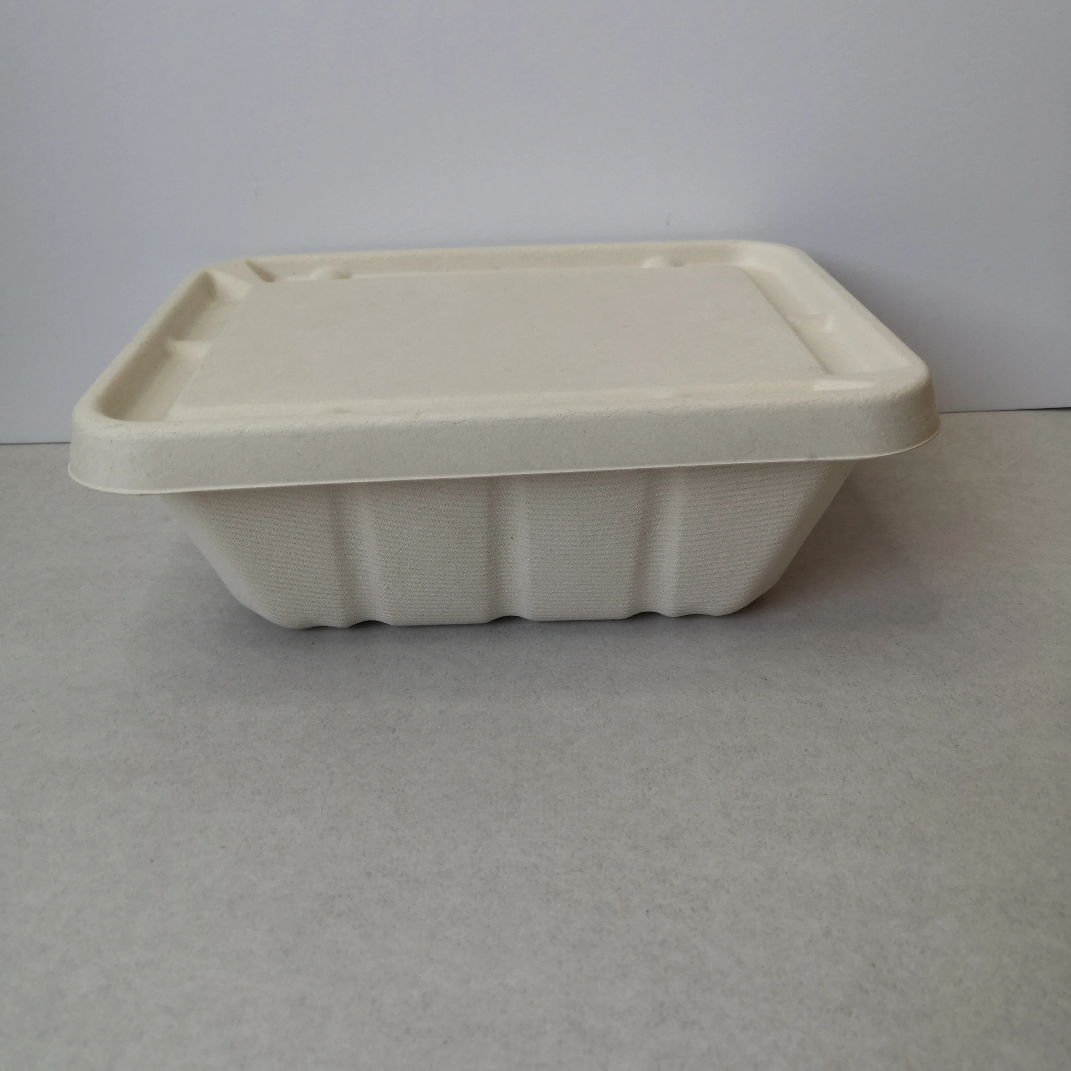 Disposable Compostable 1200ml Sugar Cane Food Box Sugarcane Bagasse ...