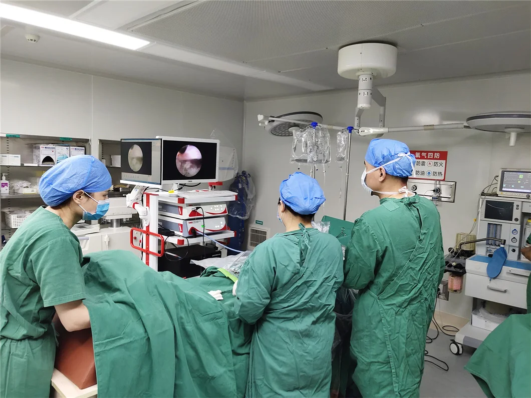 Endoscopy Equipment Gynecological Hysteroscopy Tower Complete Set factory