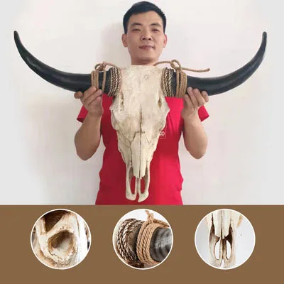 抽象骨動物の壁飾り - 牛の頭の彫刻 壁飾り アート＆コレクション用