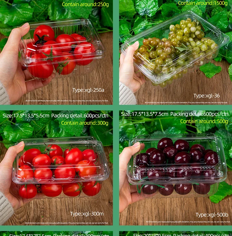 Disposable Clamshell Dried Fruit Container Blister