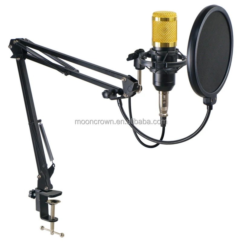 Bm800 Mic V10 Pro Sound Card V10xpro Set Professional Studio Recording