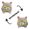 alpaca