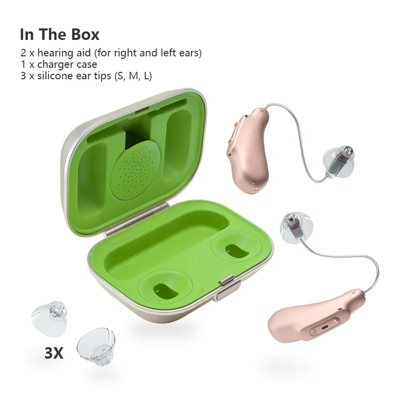 Hearing aid 6-2 Z04.jpg