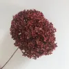 Rojo oscuro absorbente.