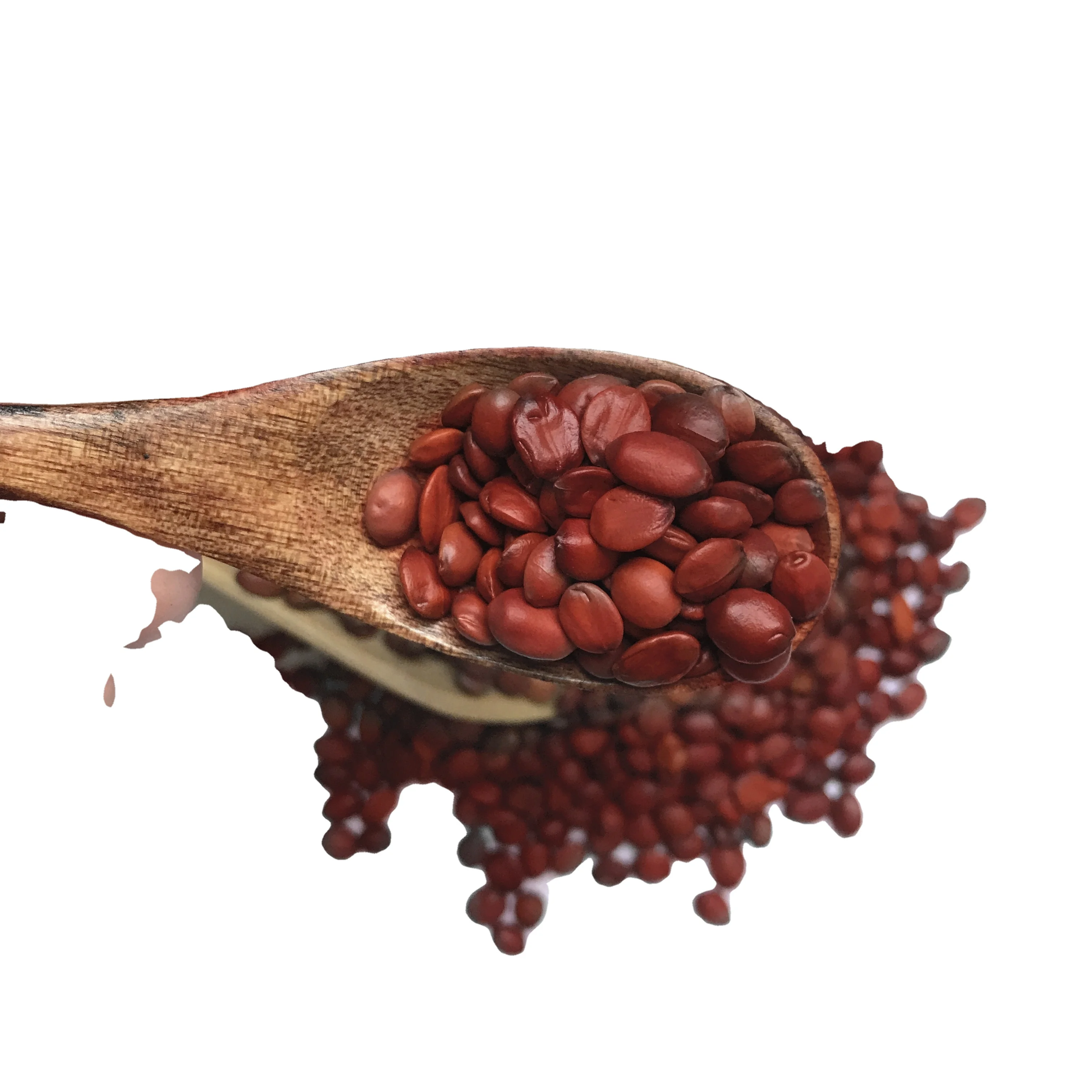 supplier best price chinese dried herbs sour date seeds suan zao