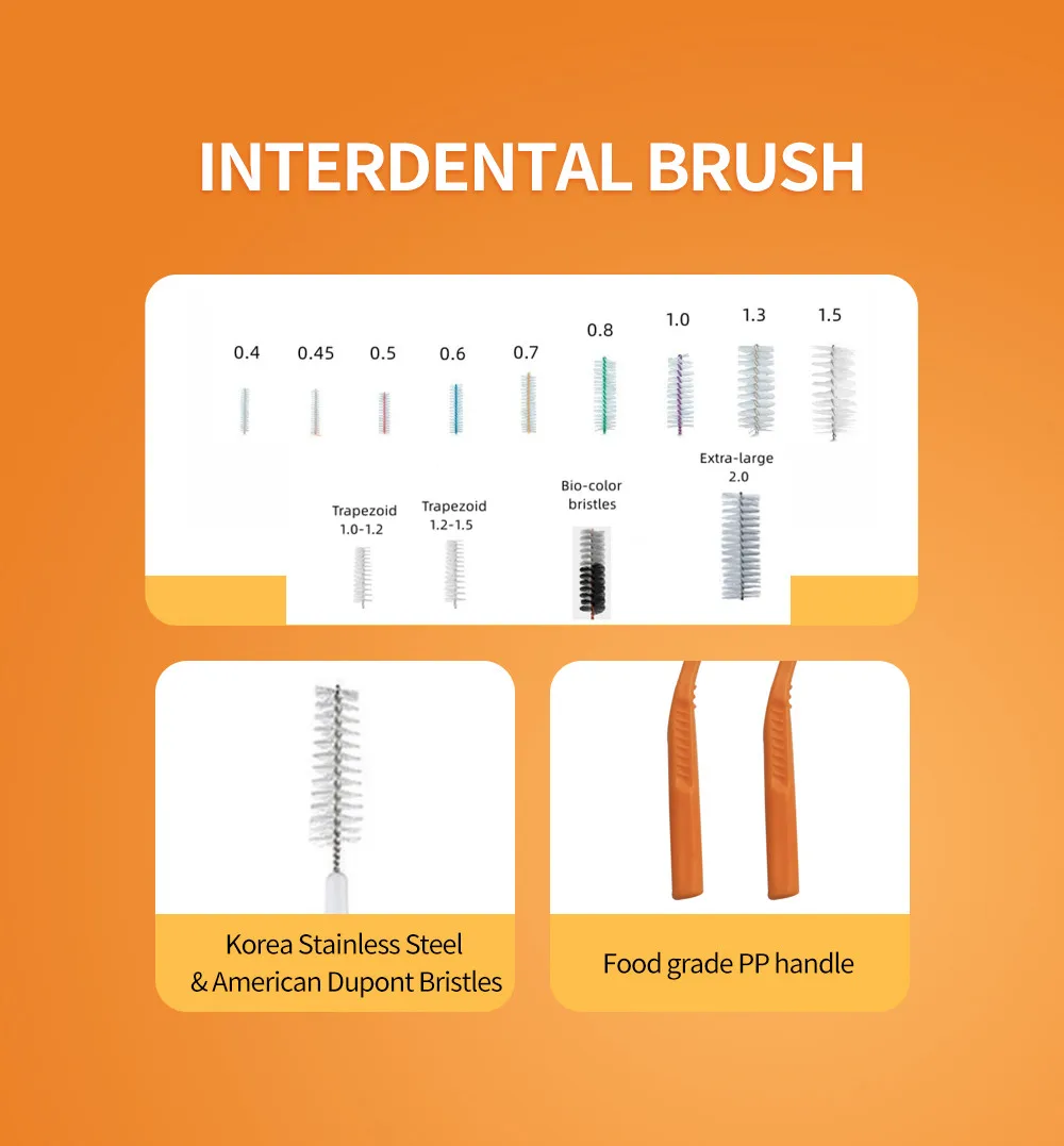 Oral Implants Bridge Flosser Teeth Interdental Stick Pick Orthodontics
