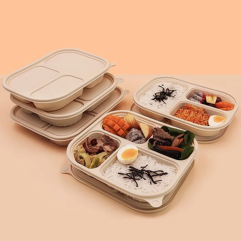 Food Containers With Attached Lids Eco Clamshell Lunch Trays For School