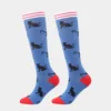 Blue cat
