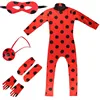 Set da 5 pezzi Ladybug