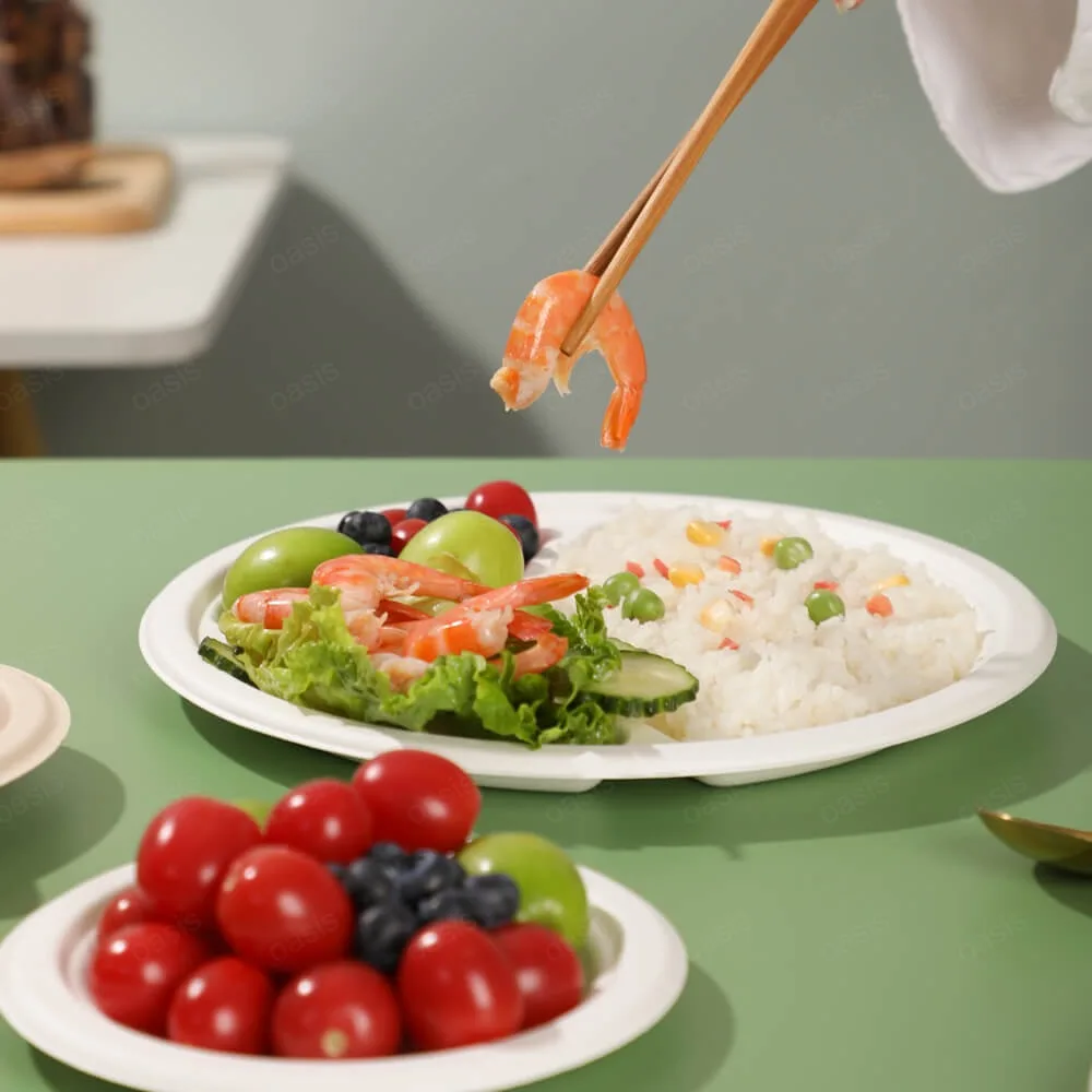 Oasis Eco-Friendly Disposable Dinner Plate One-Time Use Bagasse Food Container Waterproof for Camping