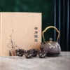 Aomei Iron Kettle