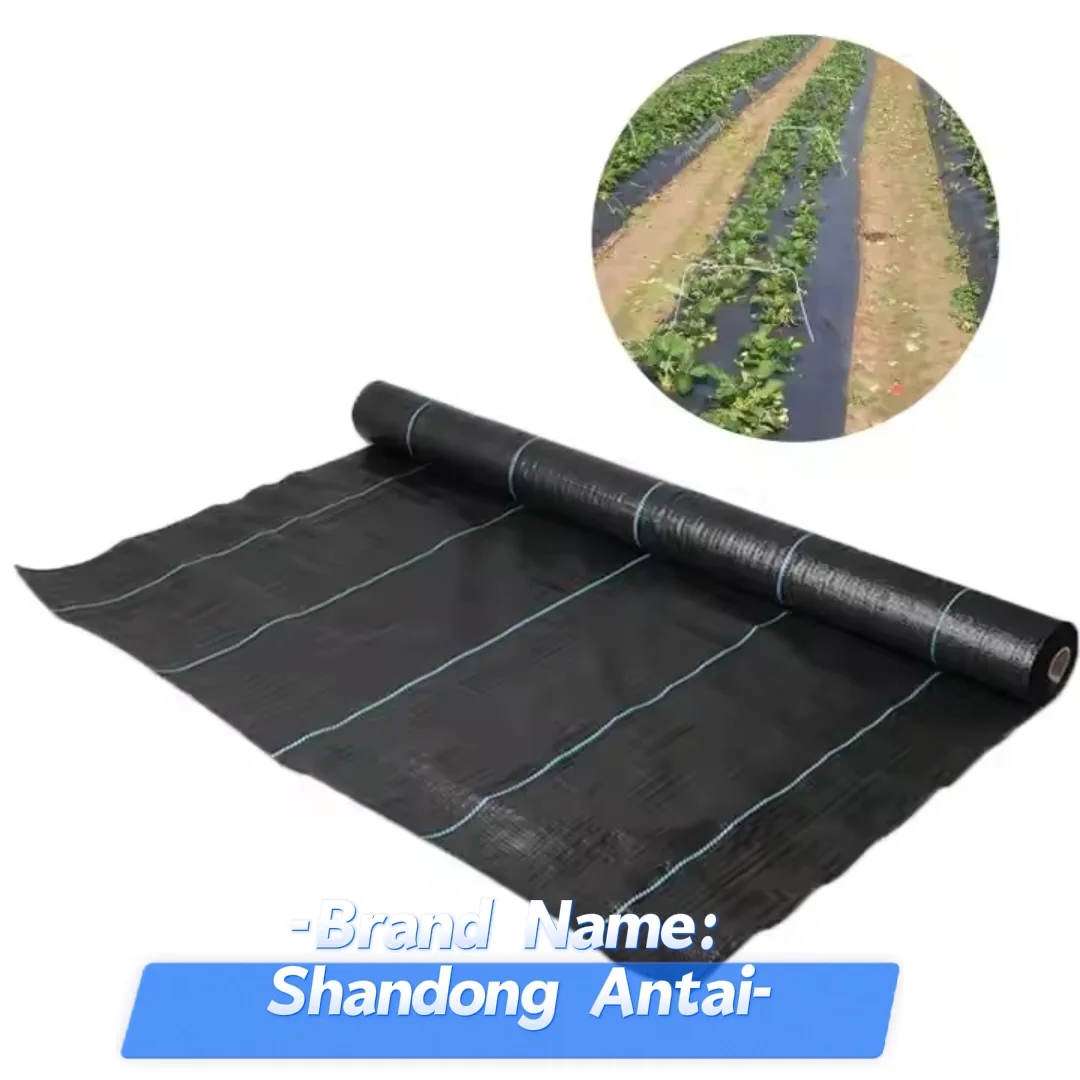 Weed Barrier Control Fabric Ground Cover Film Garden Landscape Driveway