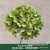 Single stem-leafless-jade crushed hydrangea