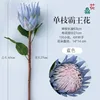 Single-stem Queen of the Night (Blue)
