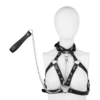 Silver+leash