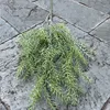 New high-branch pine needles-light green