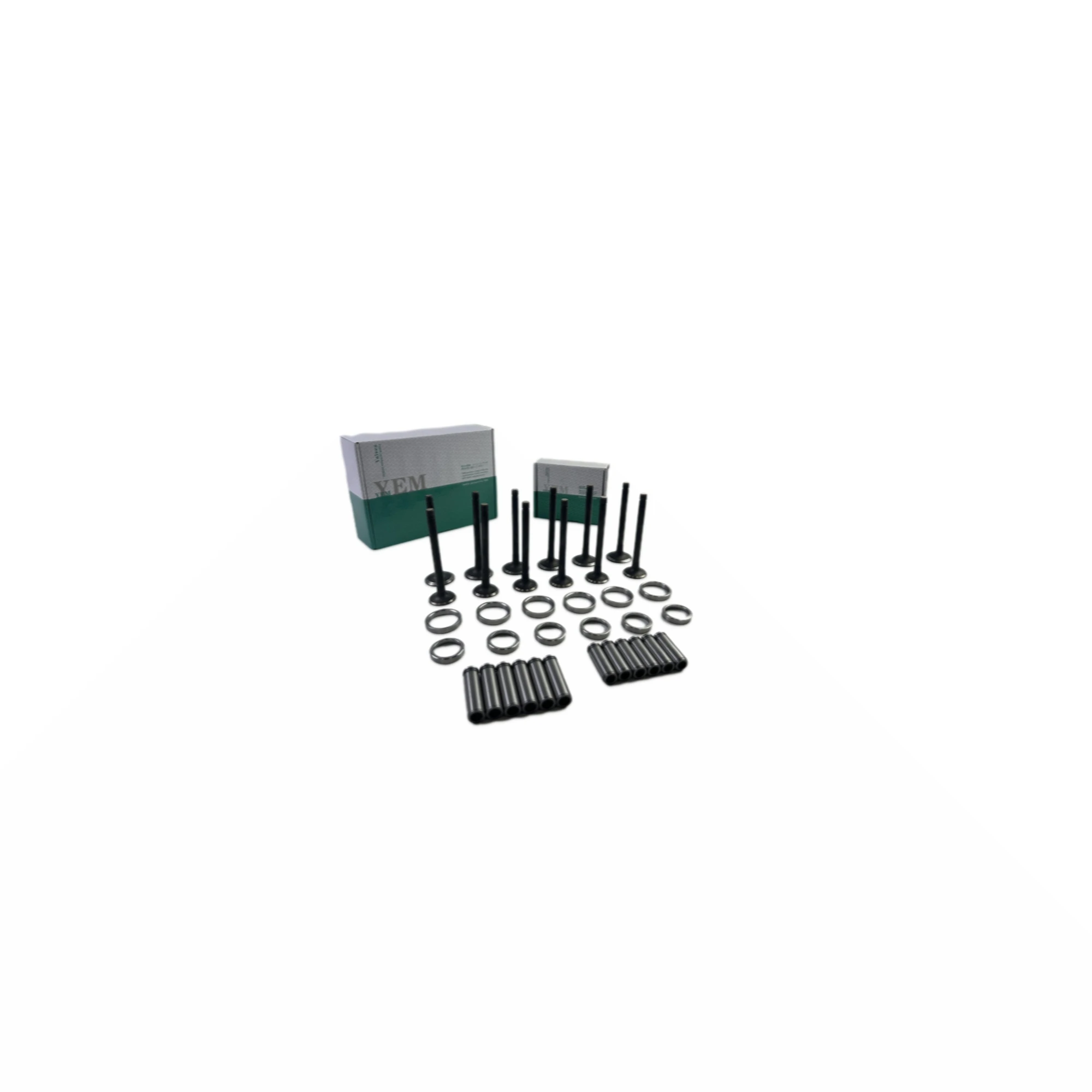 EH100 Valve Guide Seat Set for Hino Heavy Equipment Engine Parts
