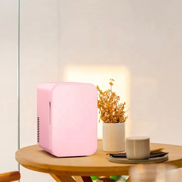 6l Mini Fridge Refrigerator For Bedroom,Camping,Milk,Drugs Buy