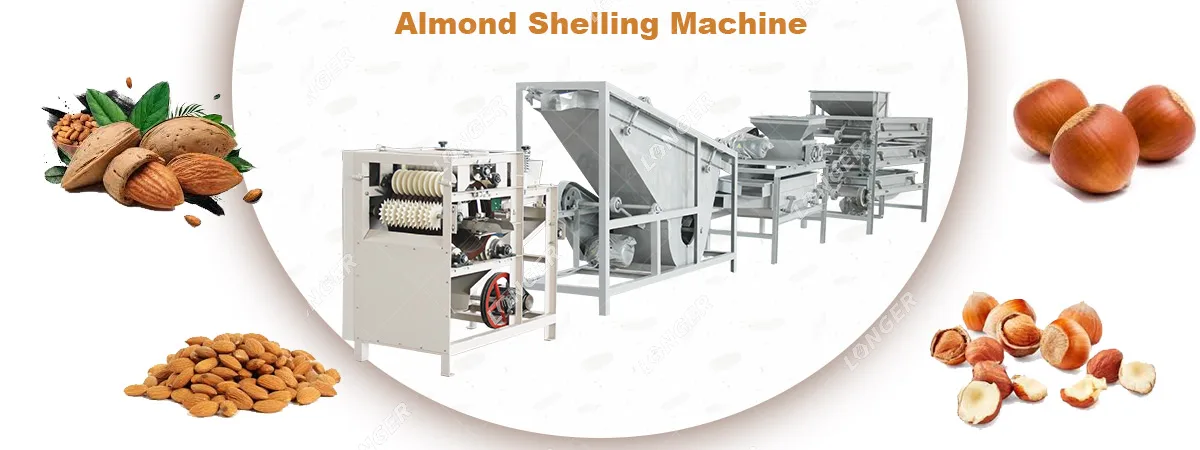Automatic Palm Kennel Nut Cracker Machine Apricot Kernels Shell Breaking and Separating Hazel Nut Shelling Machine