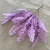 สีม่วง