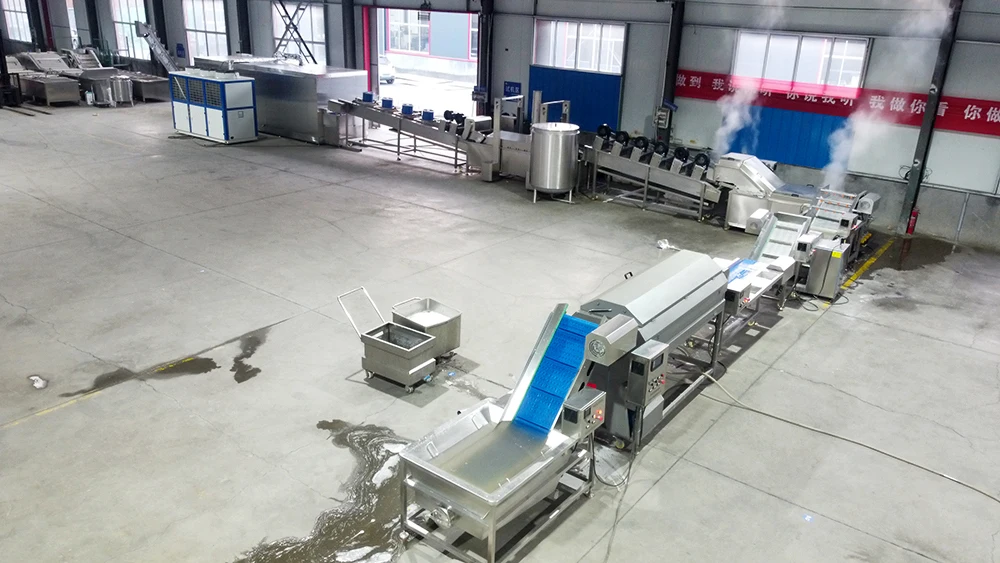 Automatic French Fries Processing Line factory