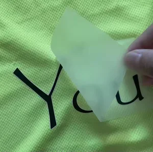 Custom Texts Letters Screen Printed Vinyl Film Designs Heat Transfer Sticker DTF Transfers Wholesale Label Decals for T Shirts