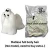 Pelo de cuerpo completo maltés (blanco)