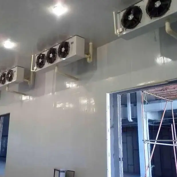 Customized cold storage and freezing systems for food processing and cold chain logistics