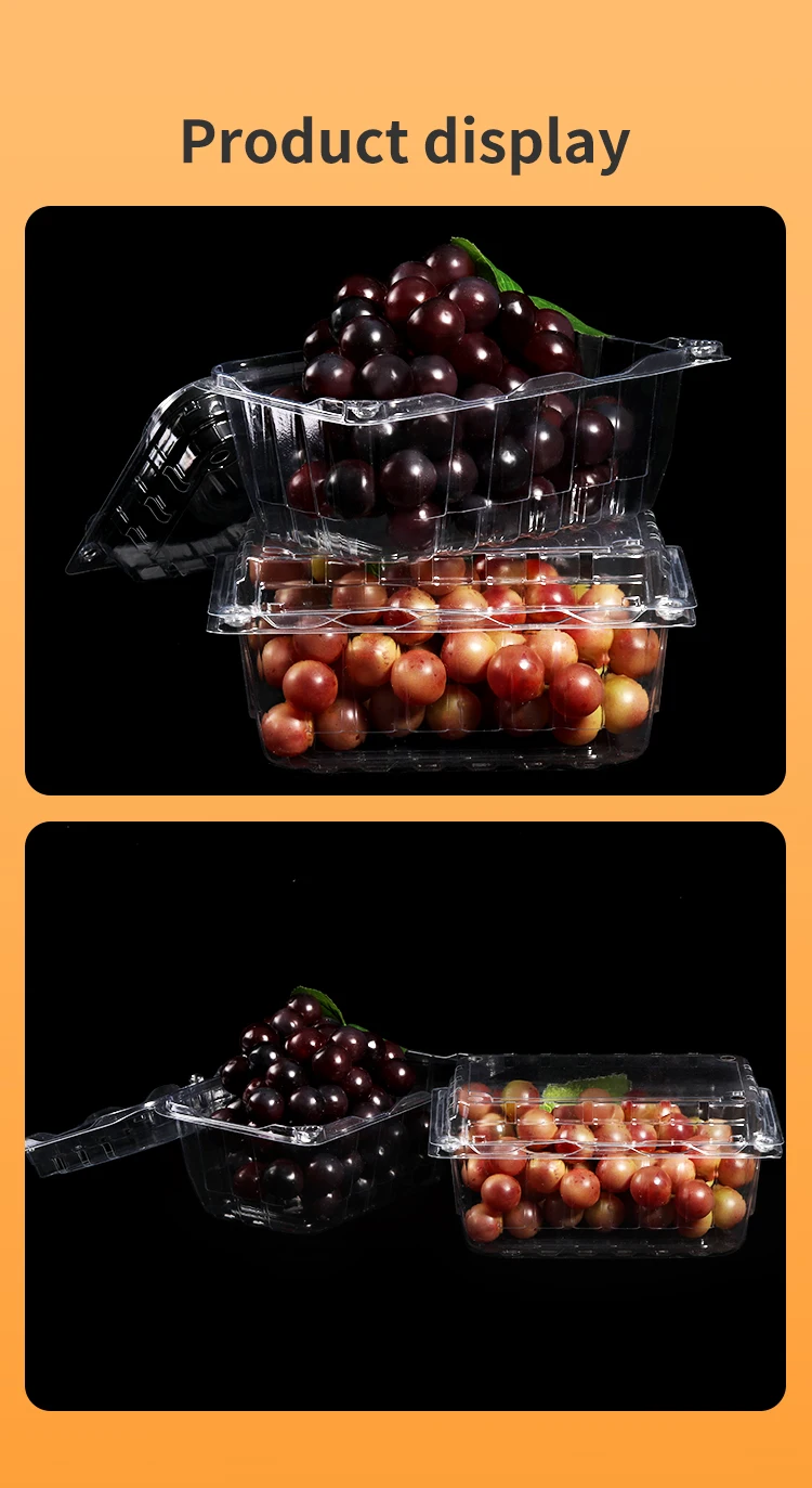 Clear Plastic Rectangle Clamshell Fruit Container Box 1lb Disposable ...