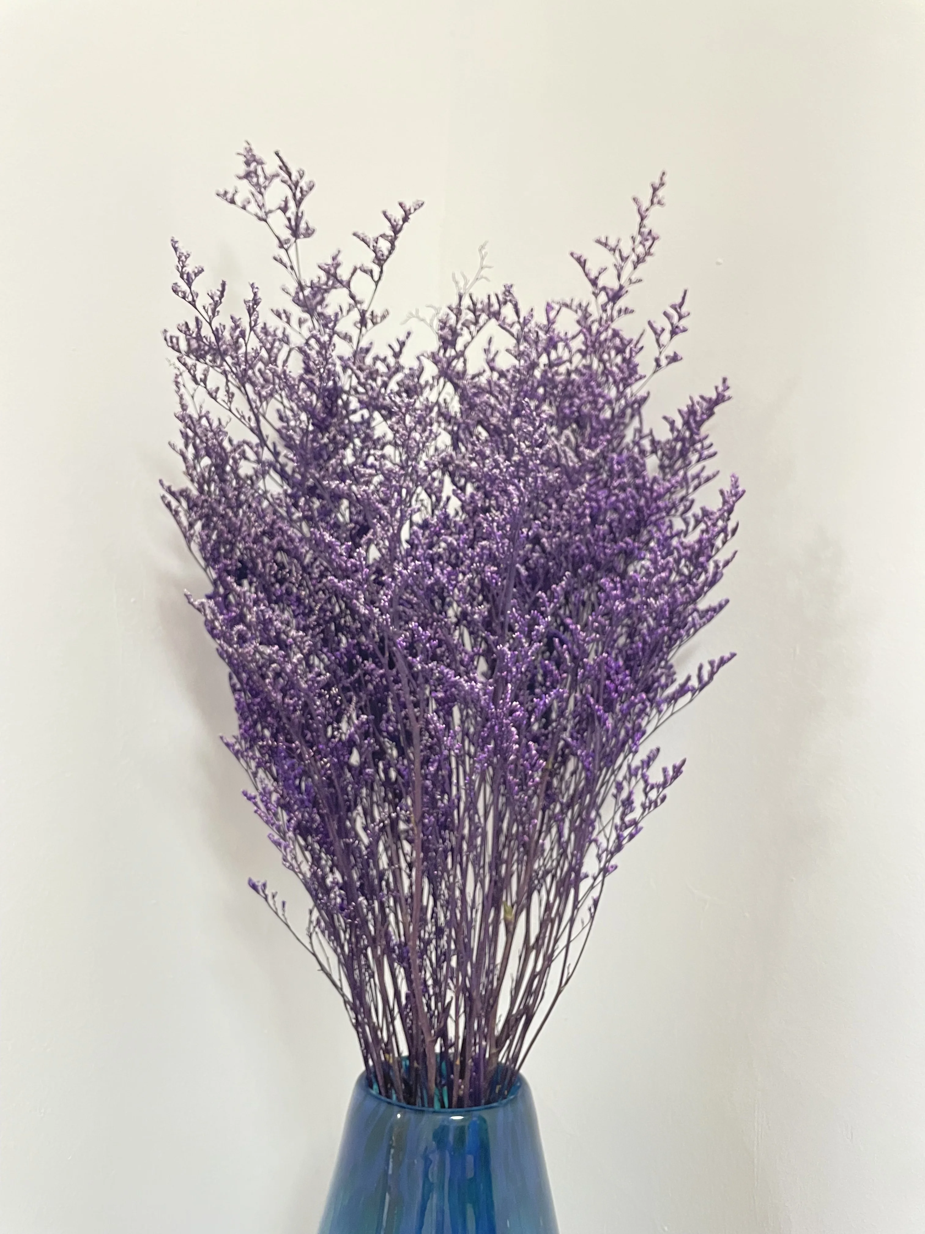 Preserved Natural Dried Flowers Wholesale Caspia Misty Limonium ...