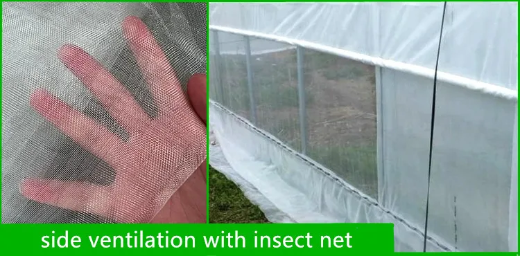 Multi-span greenhouse