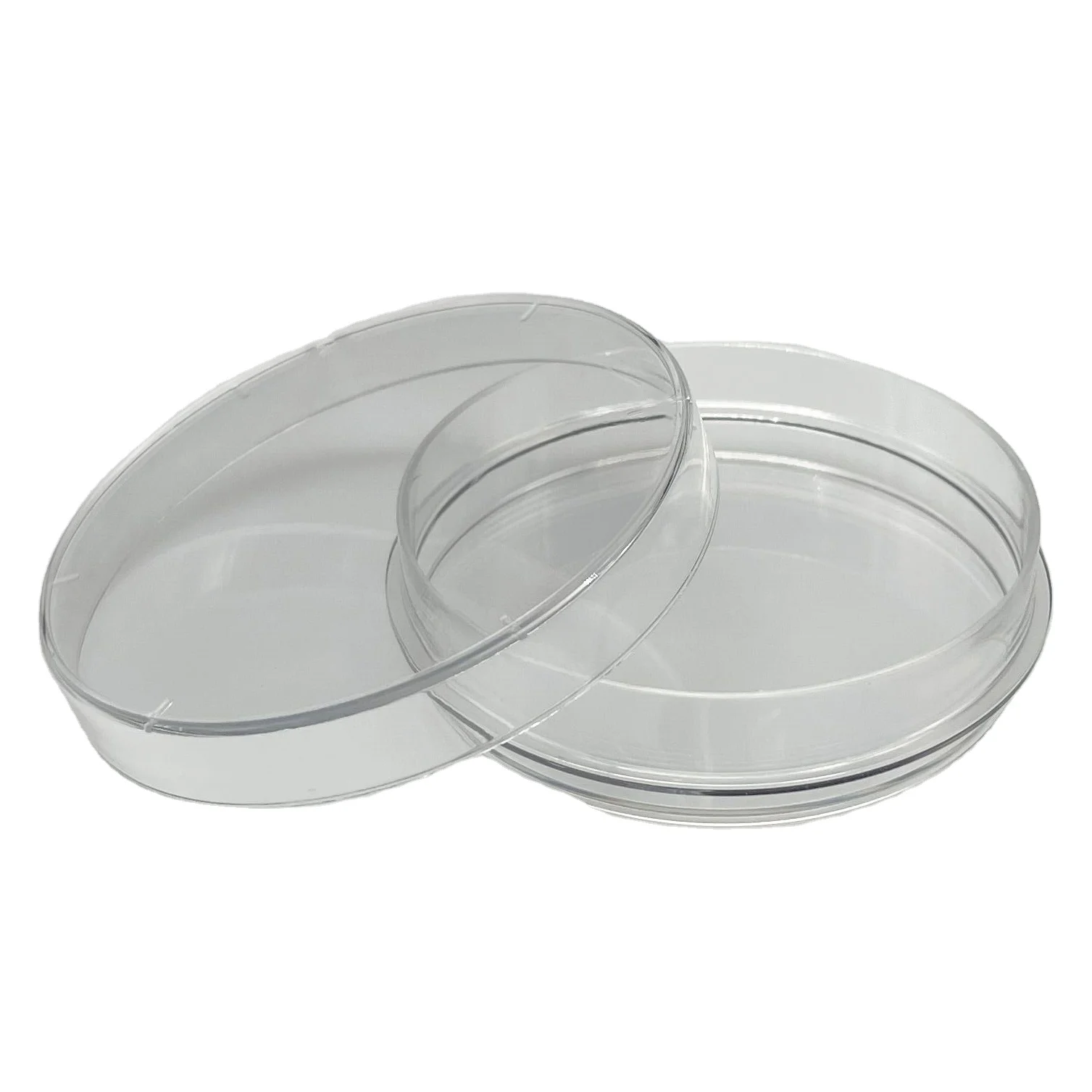 10 Stück Borosilikatglas-Petrischalen 60 Mm Mit Deckel – Hitzebeständig Bis 400°C, Hochtransparent, Für Labor, Wissenschaft & Zellkultur