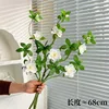 3 rododendros blancos