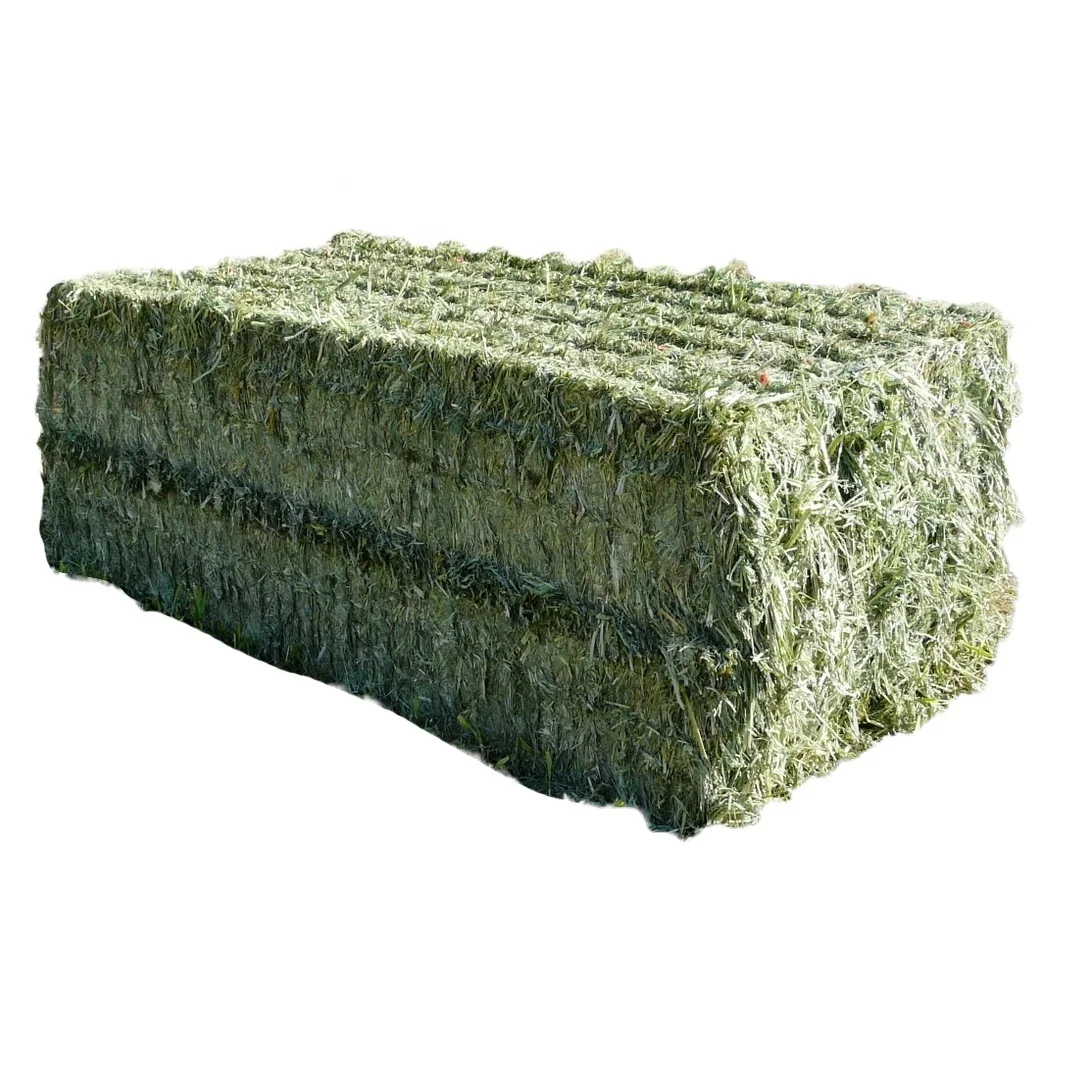 High Quality Lucerne Bales Alfalfa Hay