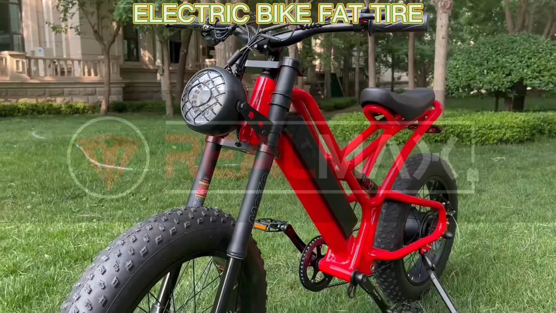 RADMINI Electric Folding fat Bike