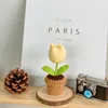 Plante en pot de tulipe jaune