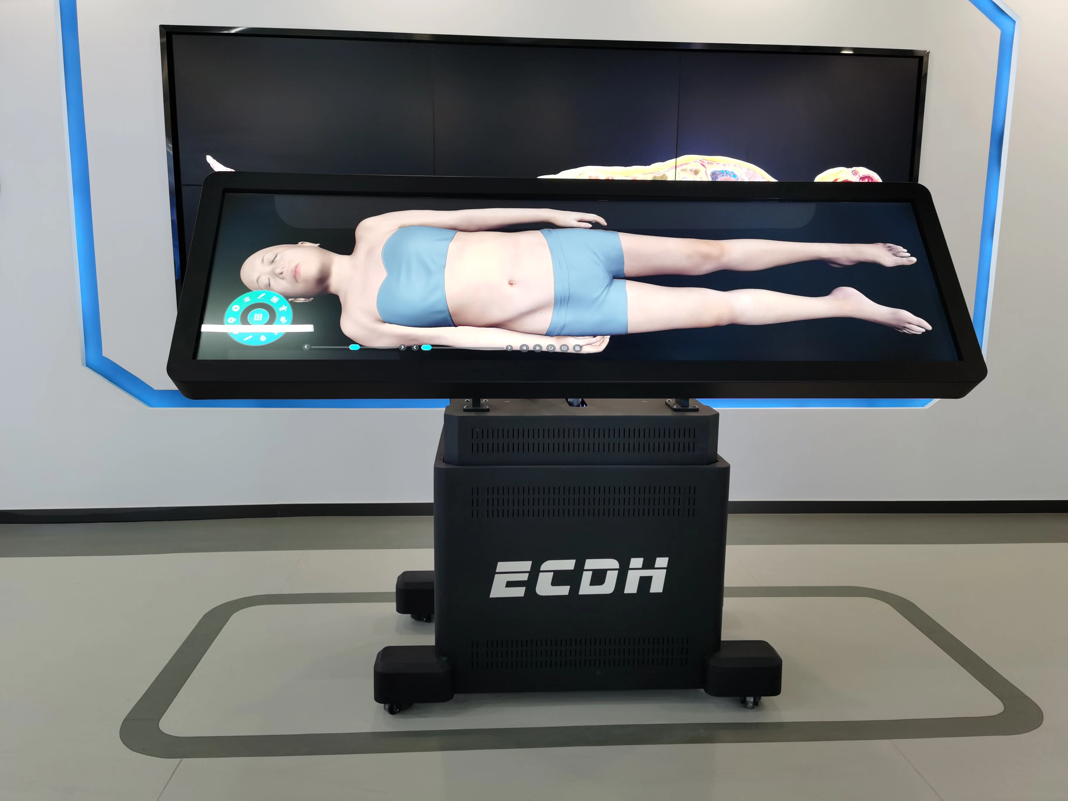 Vertical Dissection Digital Virtual Dissection Table - Enhance Medical Education