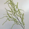 Spray di felce a strati