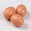 colore dell'uovo di gallina