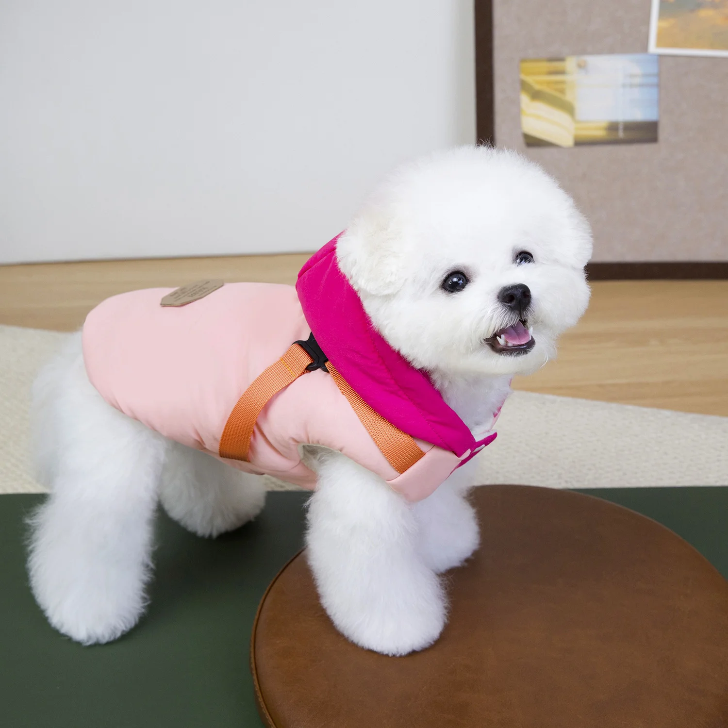 Atacado, Casaco de Inverno de Luxo Tamanho XS para Pets, Acessório Confortável e Lavável para Cães/Gatos, Estilo Esporte Lazer com Design de Impressão Personalizado