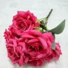 Rose madder