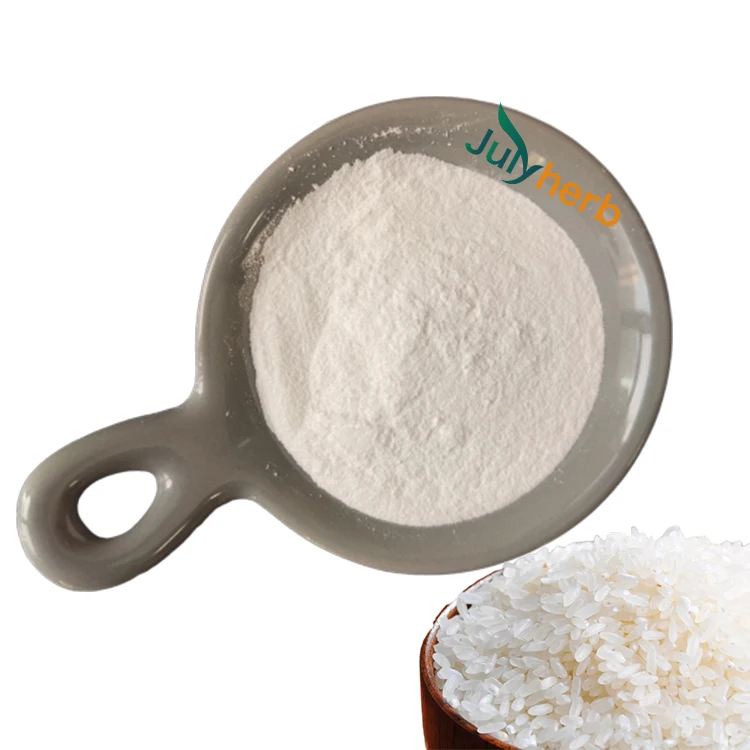 rice protein powder