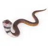 Cobra