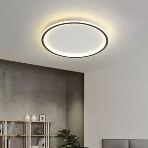 Modern Simple Creative Personality Fashion Round Ceiling Light with Luminous Inside and Outside for Living Room