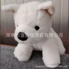 Cachorro de las tierras altas del oeste