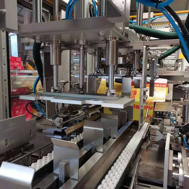Automatic Case Packer Carton Box Packing Machine
