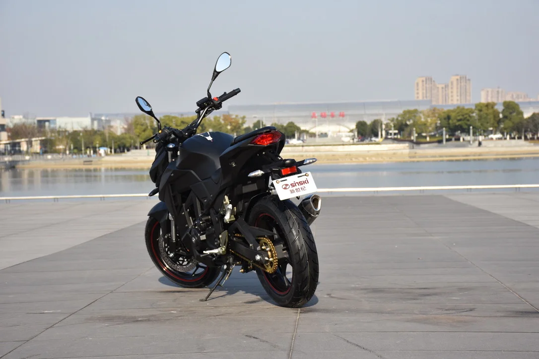 スグリ Sinski高速パワー140km/hカスタマイズ150cc 250cc 300cc 400cc