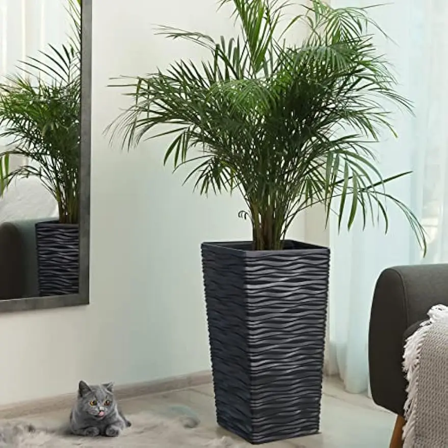 snake plant purchase Futura Superba Snake Plant – rePotme main image 1